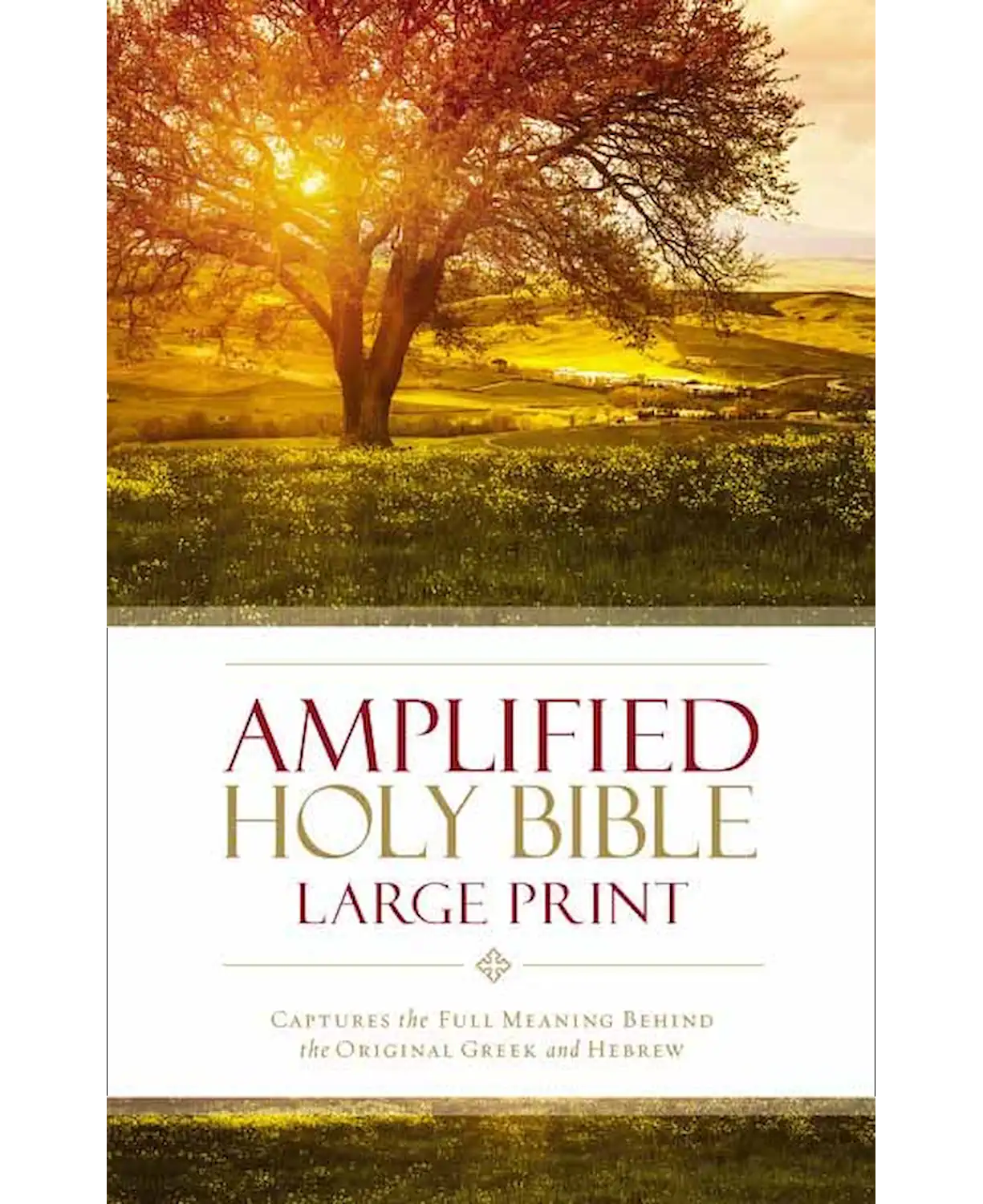 Amplified Large Print Holy Bible
