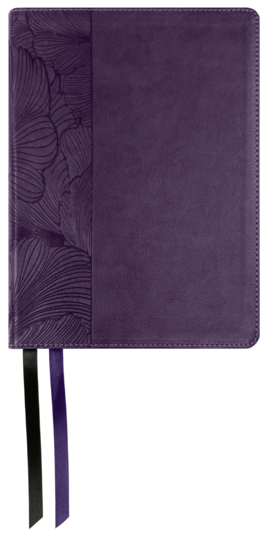 NASB 2020 The Beauty of Scripture