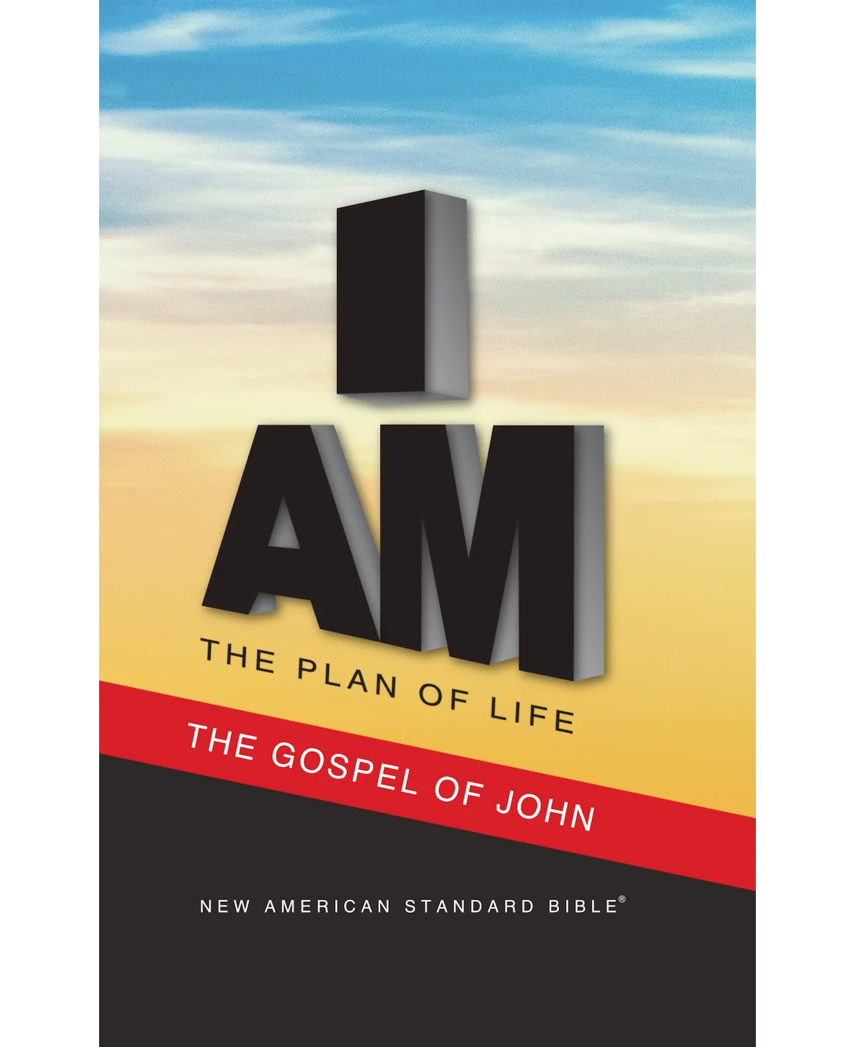 NAS 2020 Plan of Life Gospel of John, colorful paperback cover