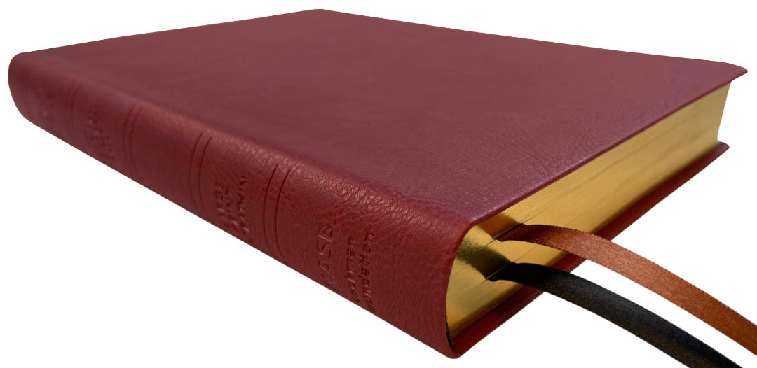 NASB 2020 Large Print Ultrathin Reference Bible