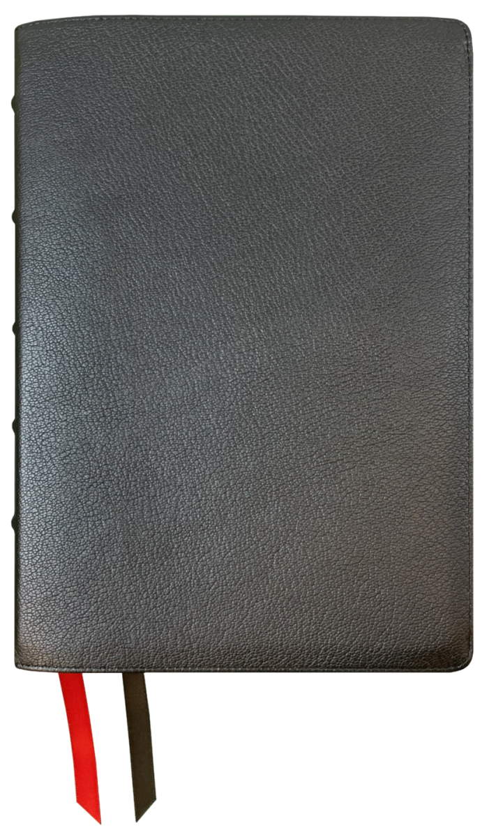 NASB 2020 Prime Large Print Ultrathin Reference Bible (Damaged)