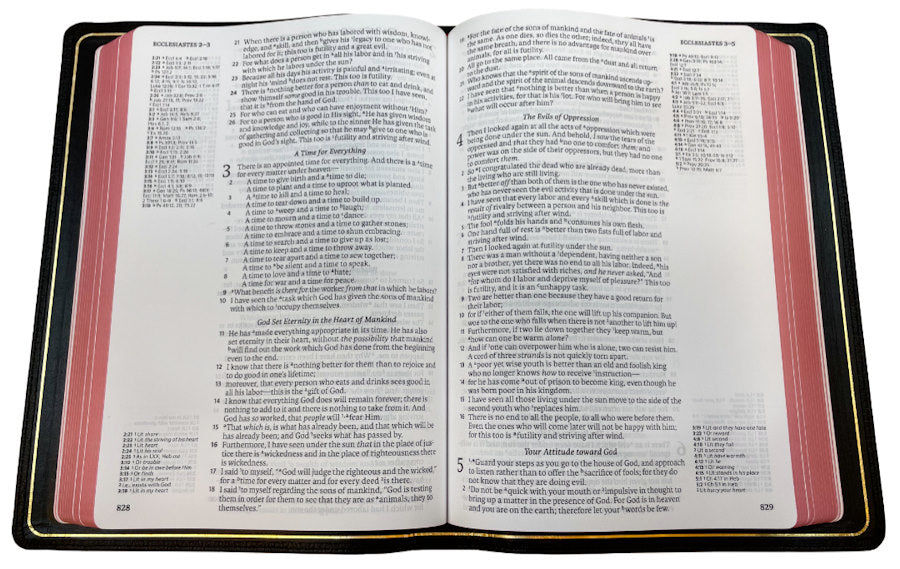 NASB 2020 Prime Side-Column Reference Bible