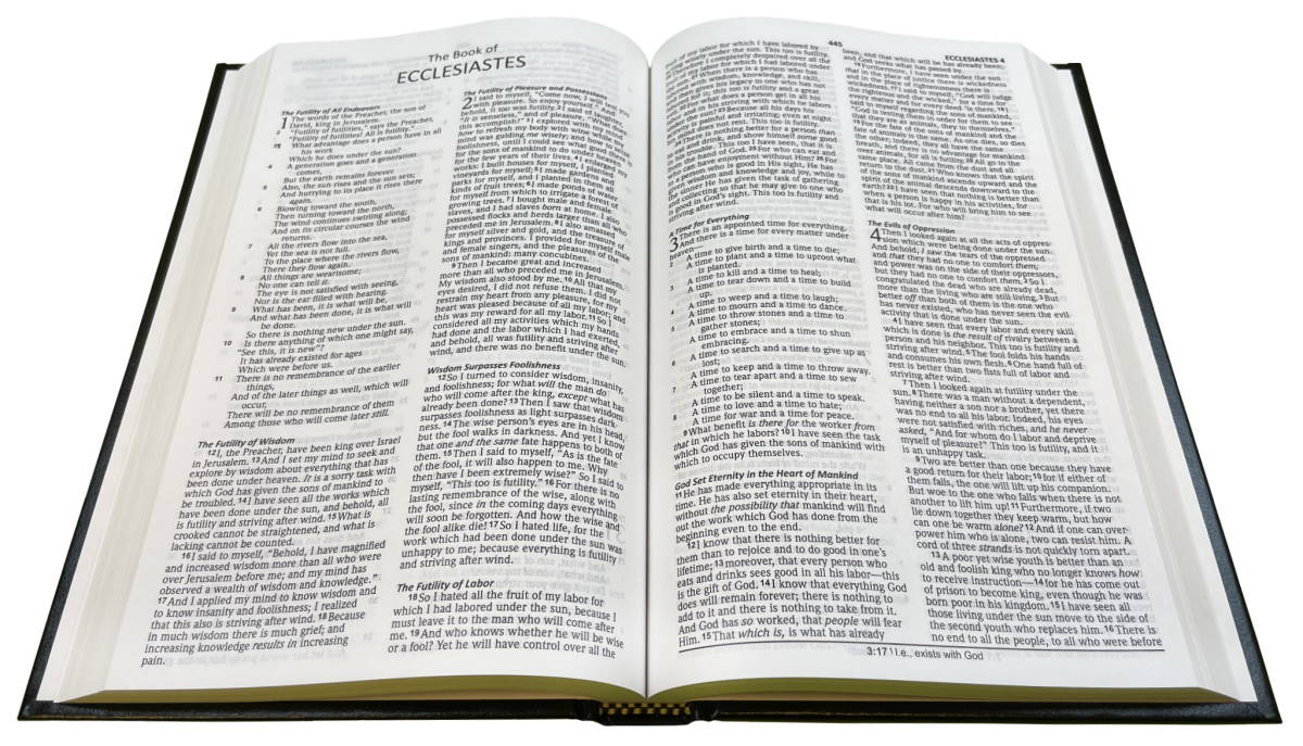 NASB 2020 Pew Bible (Full Case of 20)