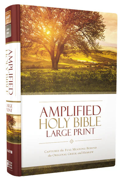 Amplified Large Print Holy Bible