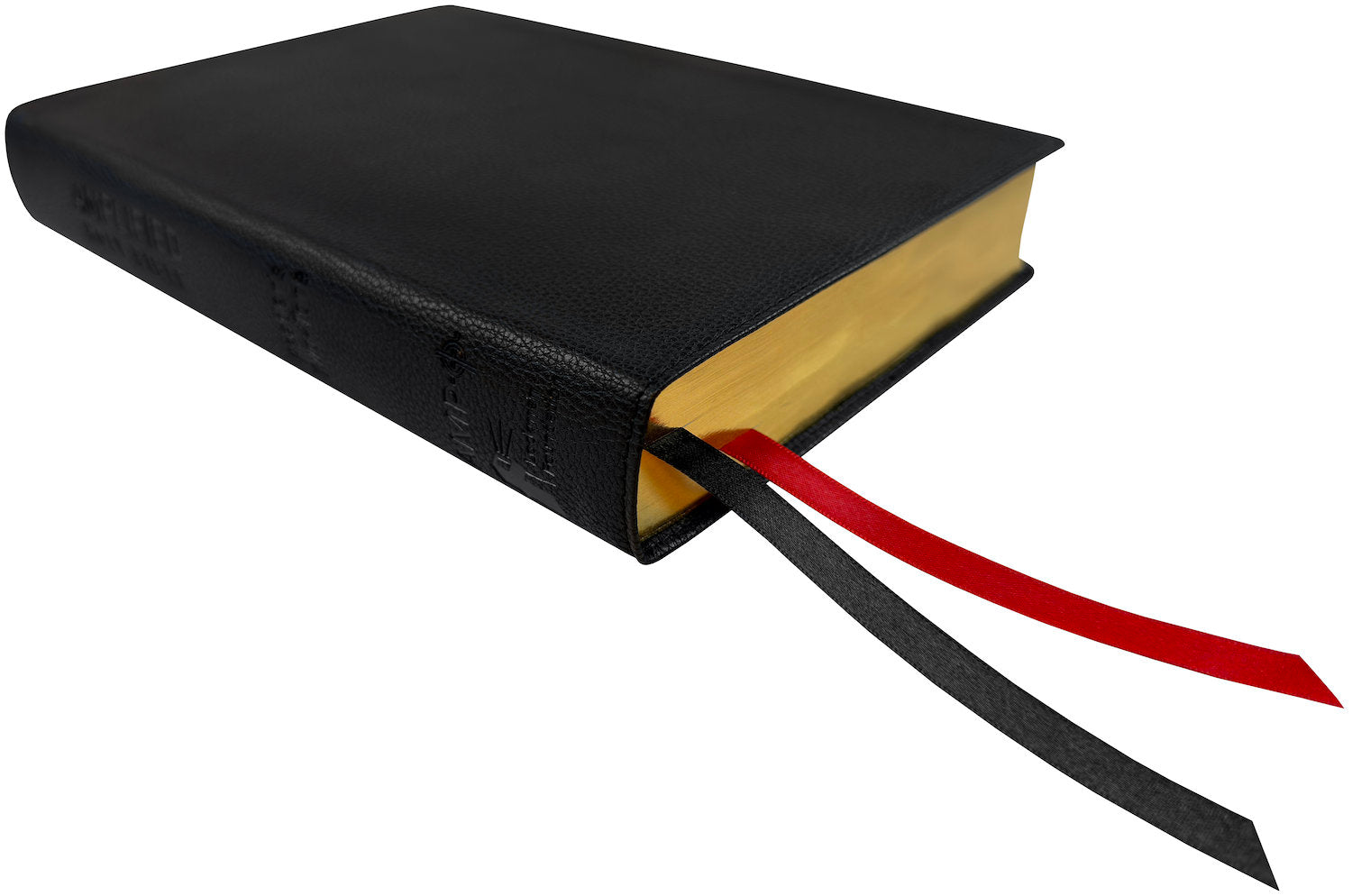 Amplified Readers Two-Tone Bible, black leathertex, angled side view with ribbon markers
