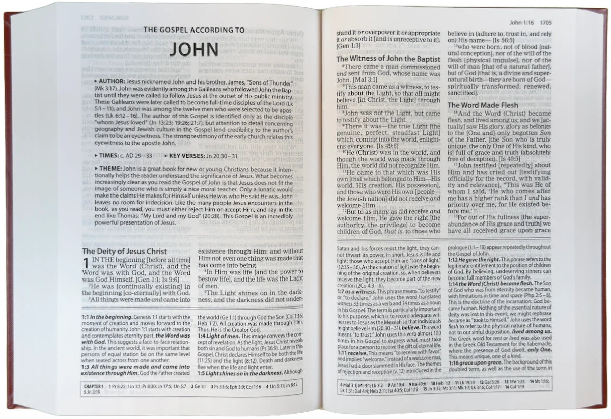 Amplified Study Bible