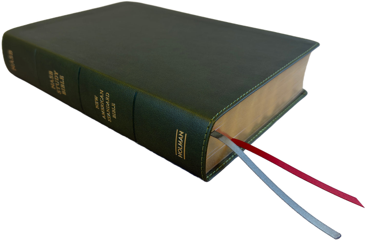 NASB 2020 Study Bible