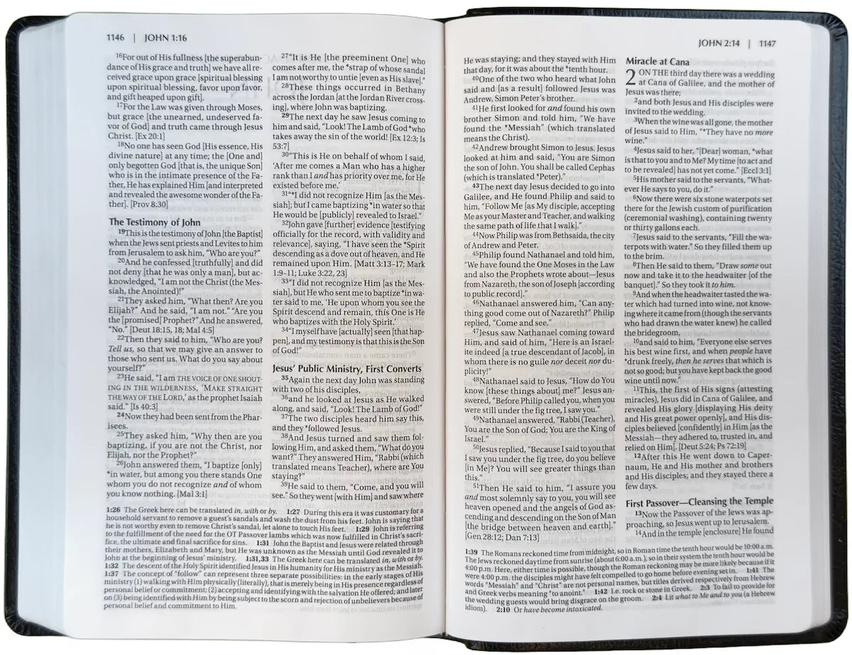 Amplified Thinline Holy Bible