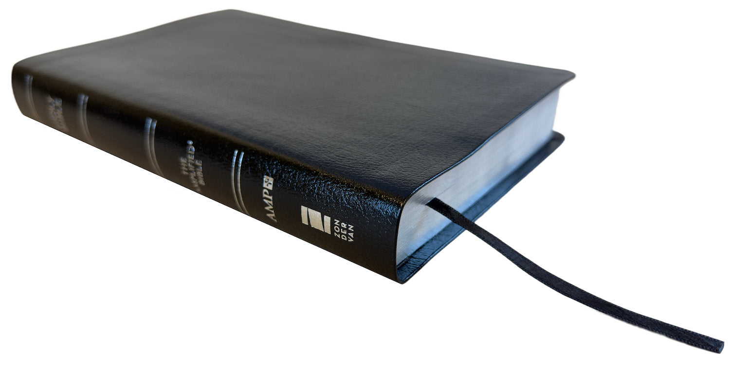 Amplified Thinline Holy Bible