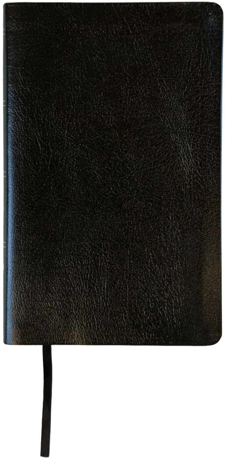 Amplified Thinline Holy Bible