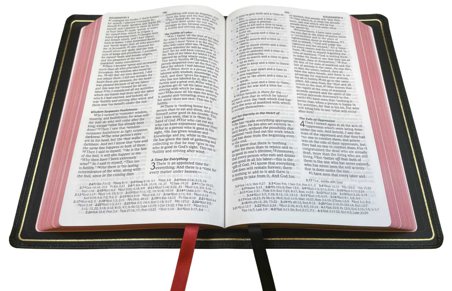 NASB 2020 Prime Reference Bible
