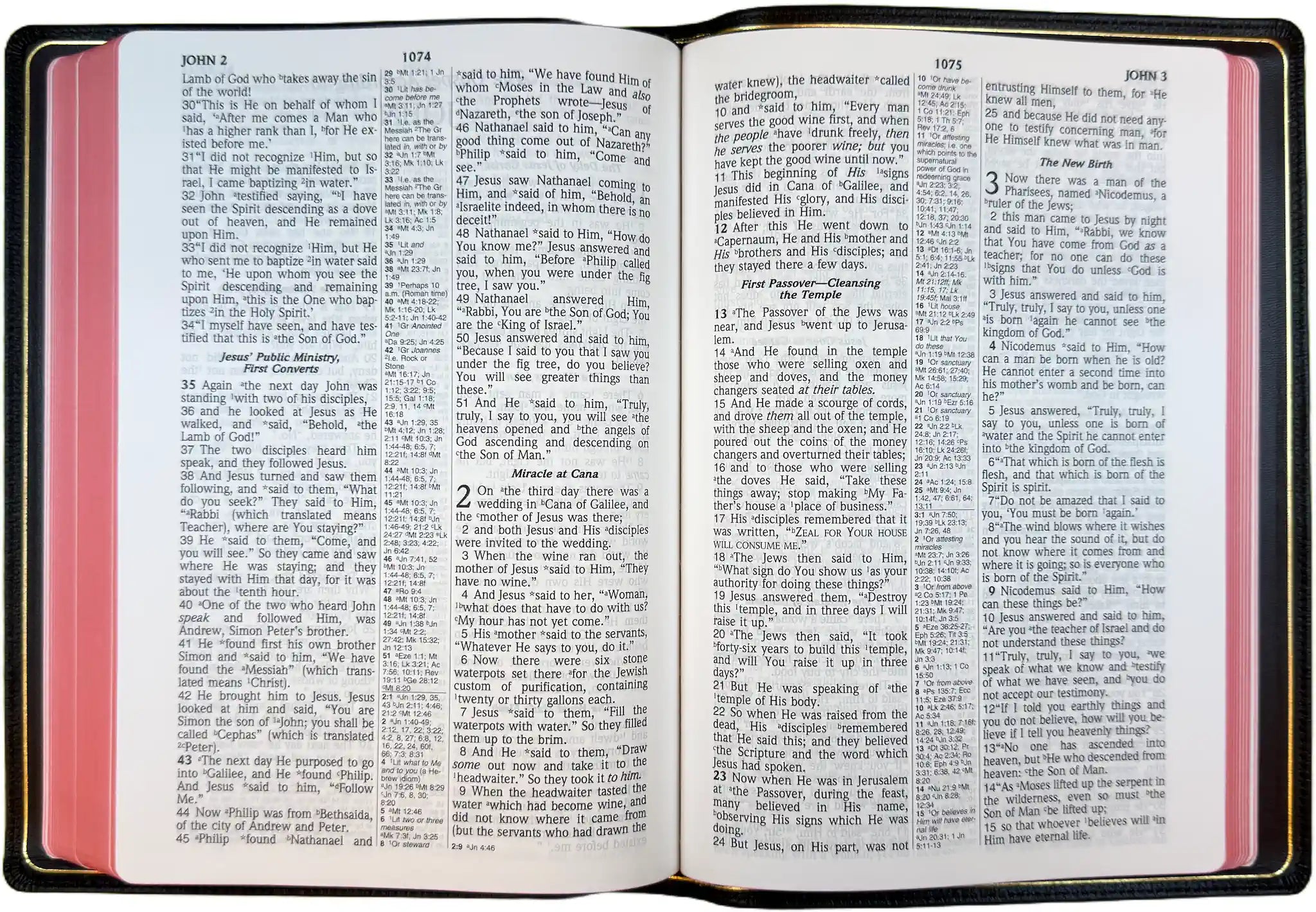 NASB 1995 Prime Large Print Ultrathin Reference Bible, open interior pages