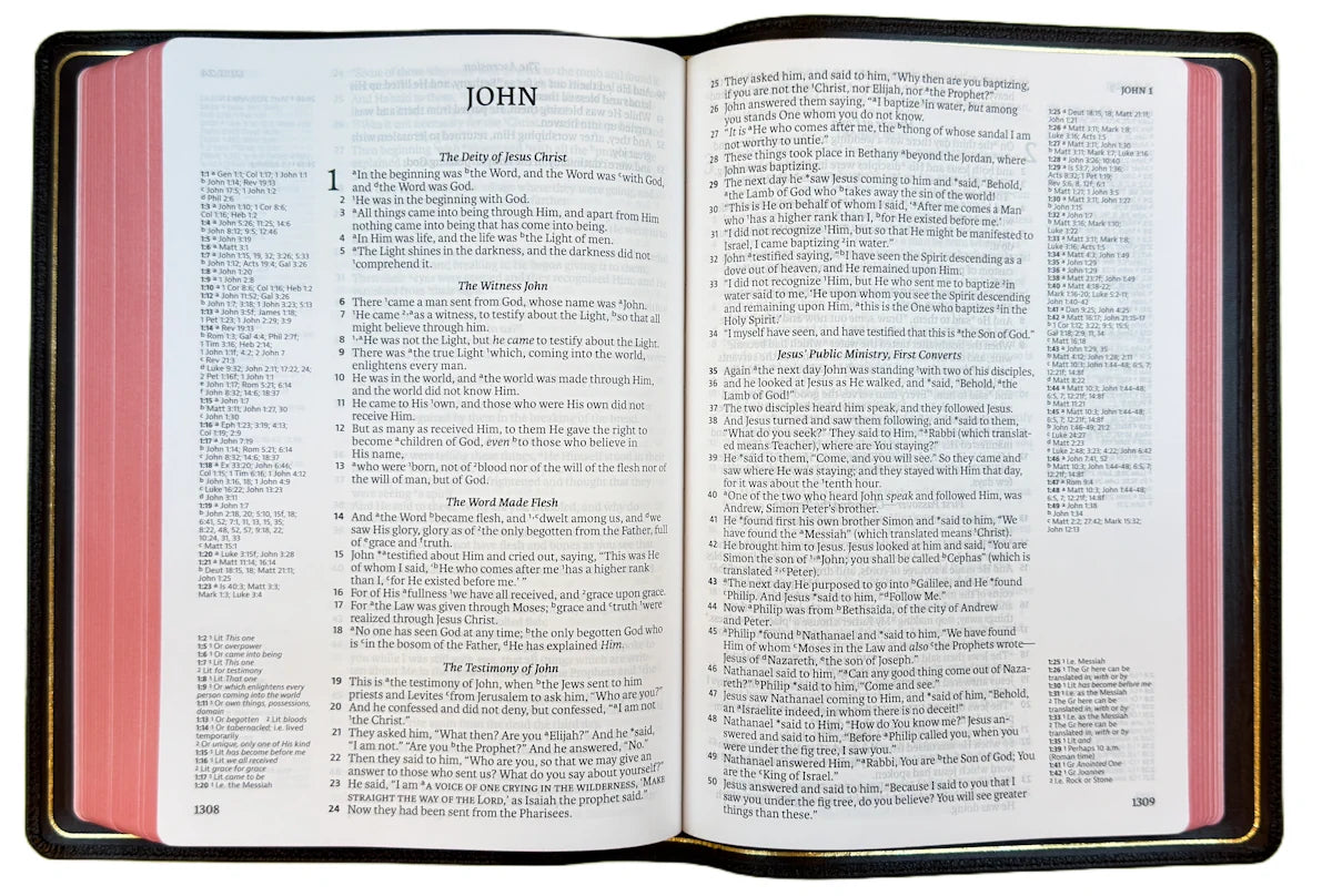 NASB 1995 Prime Side Column Reference Bible, open interior pages