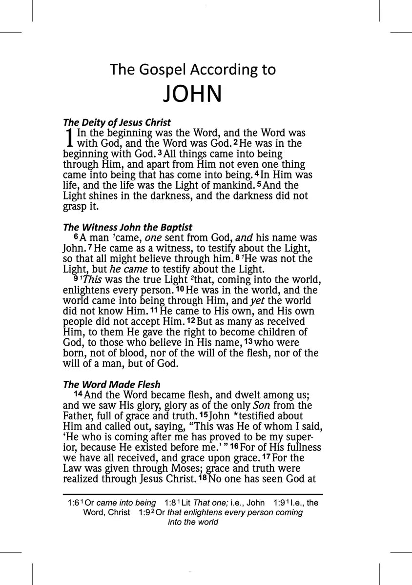 NAS 2020 Jesus Saves New Testament, interior page sample