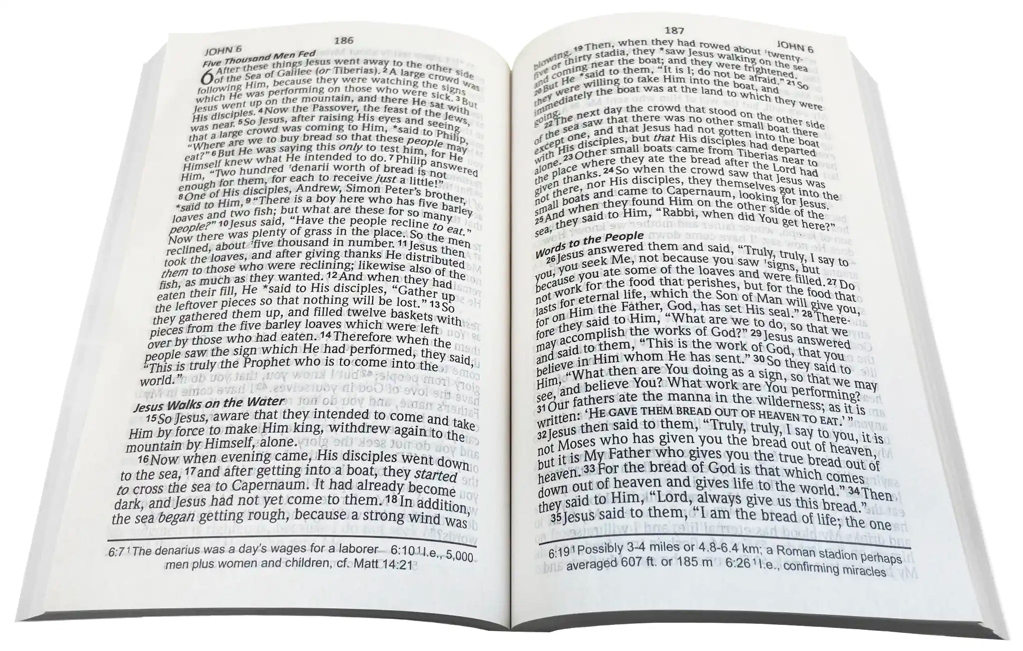 NAS 2020 Jesus Saves New Testament, open interior pages