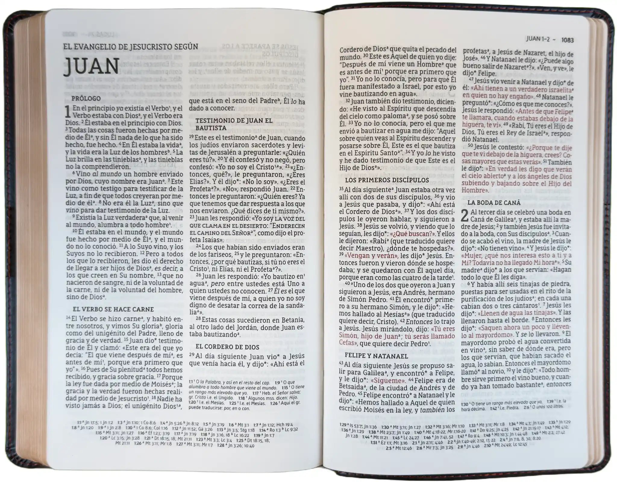 NBLA Large Print Ultrathin Bible, open interior pages