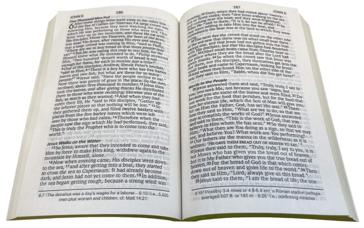 NAS 2020 Jesus Saves New Testament (Full Case of 40)