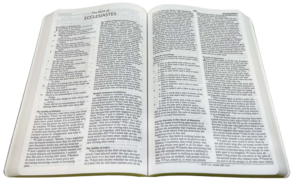 NASB 2020 Ultrathin Text Bible
