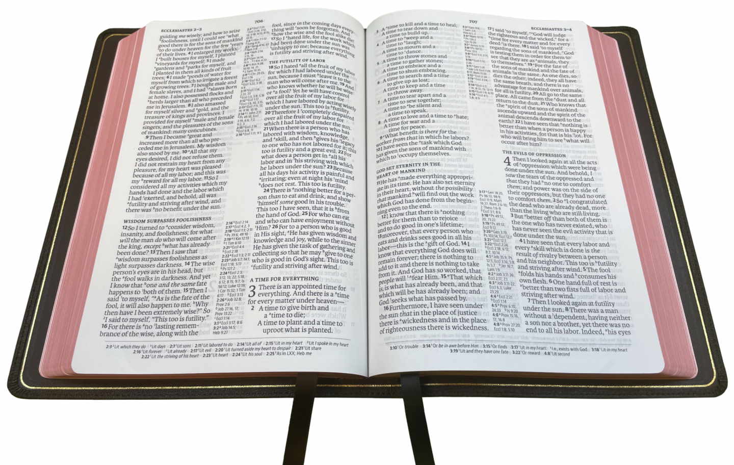 NASB 2020 Prime Large Print Ultrathin Reference Bible