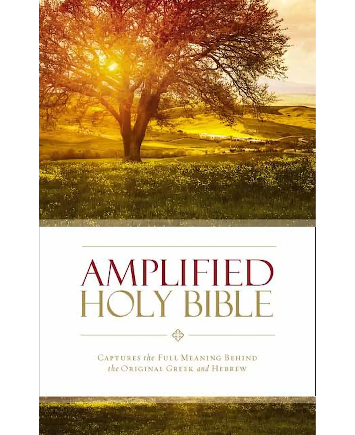 Amplified Thinline Holy Bible