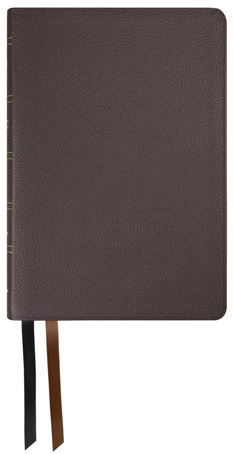 NASB 1995 Large Print Compact Bible, brown genuine cowhide leather cover with ribbon markers