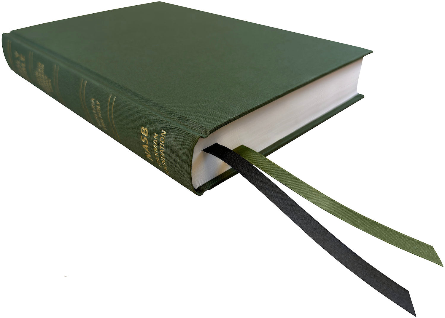 NASB 1995 Dyslexia Friendly Bible