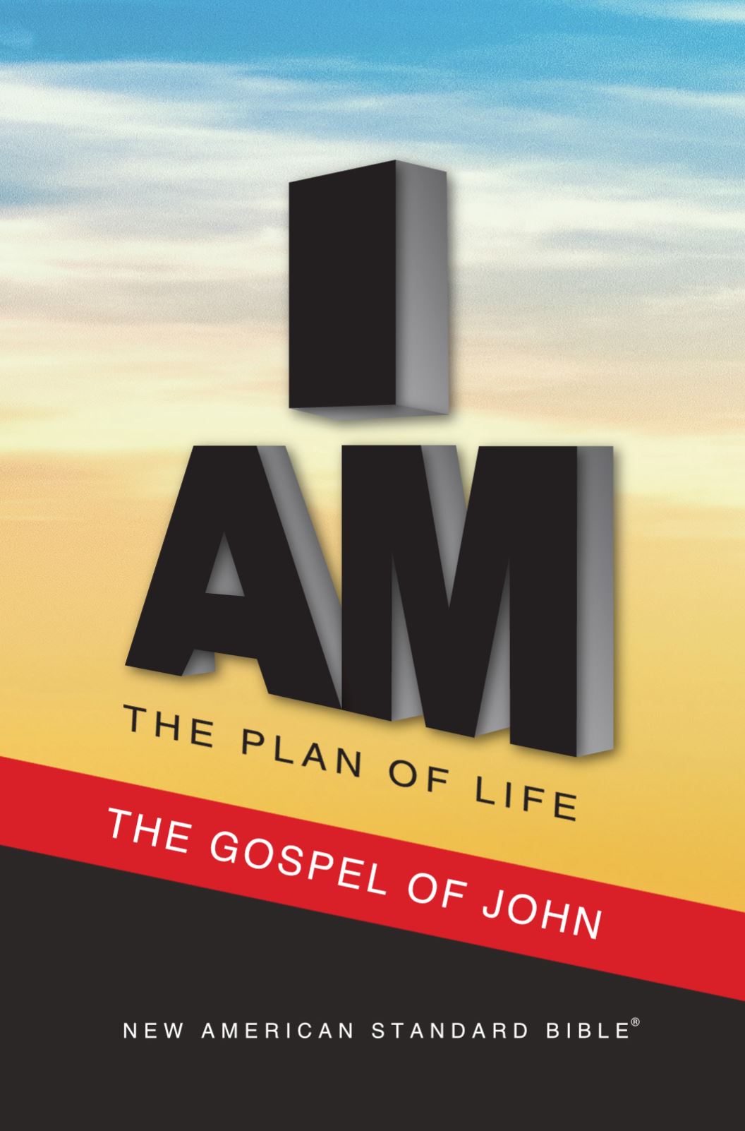 NAS 2020 Plan of Life - Gospel of John (Full Case of 300)