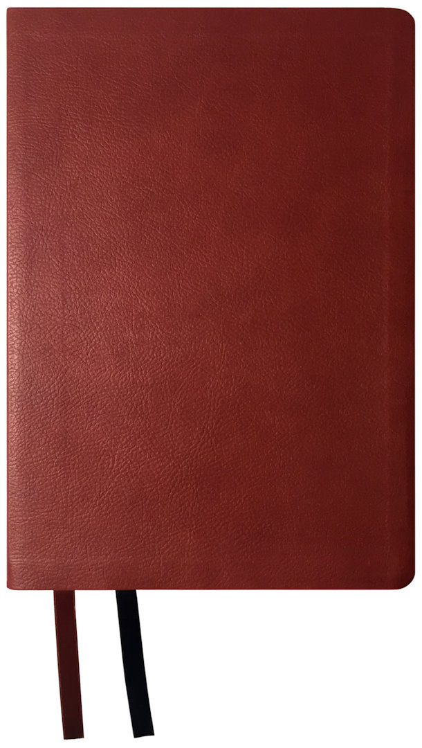 NASB 2020 Reference Bible (Damaged)