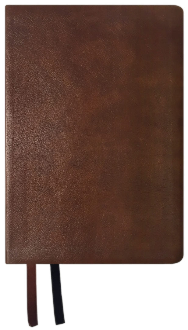 NASB 2020 Large Print Ultrathin Reference Bible (Damaged)