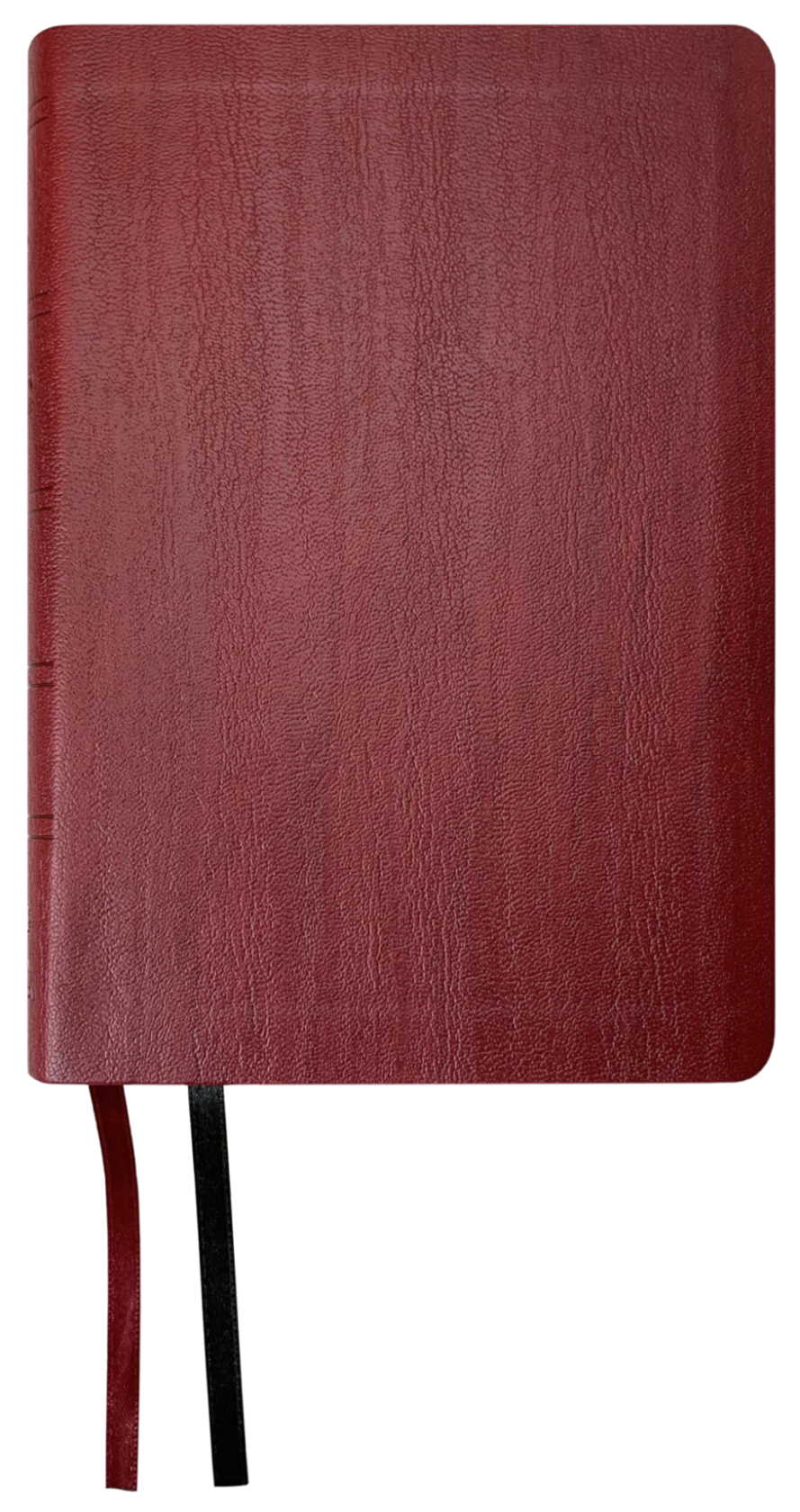 NASB 2020 Large Print Compact Bible