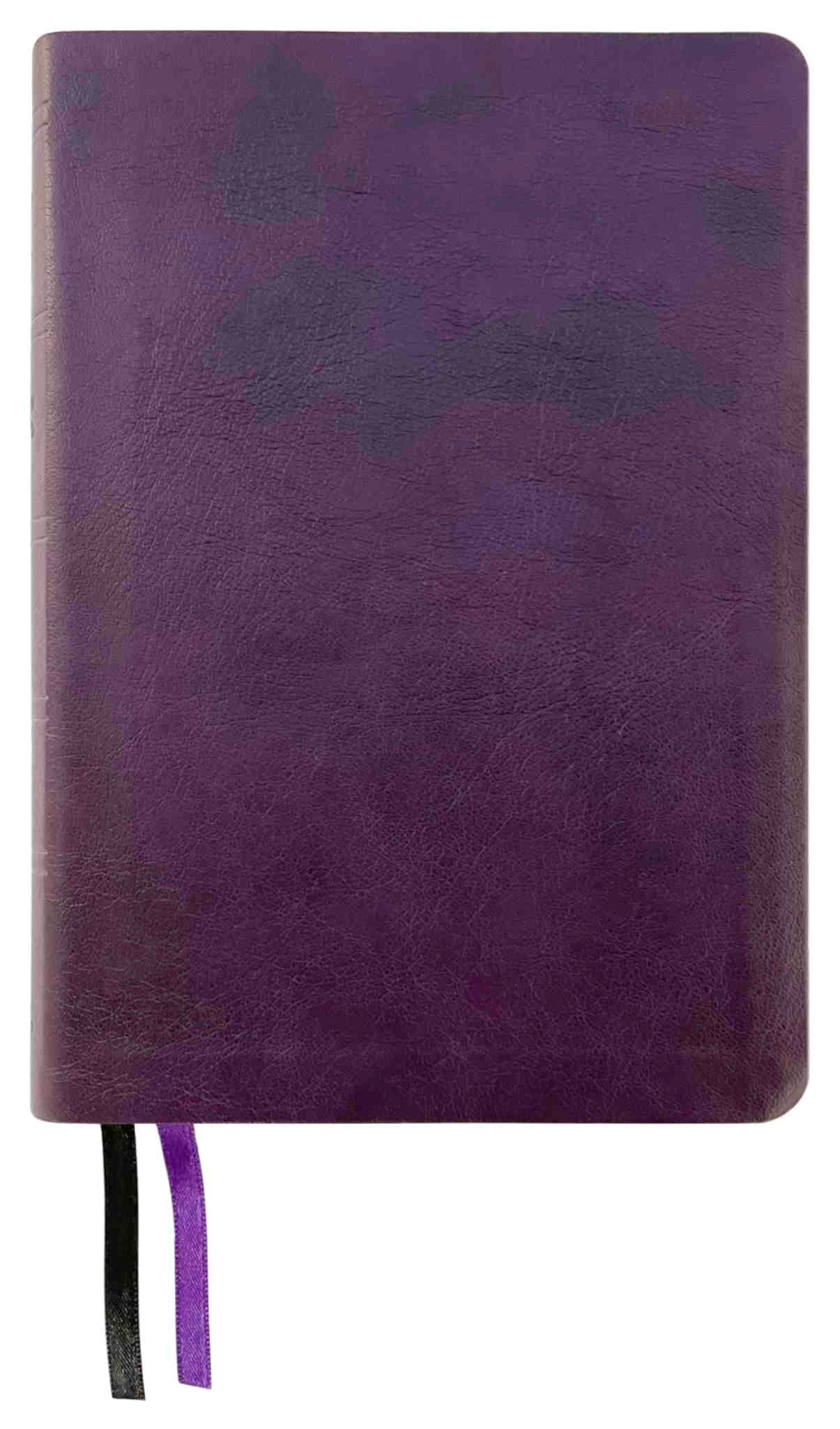 NASB 2020 Large Print Compact Bible