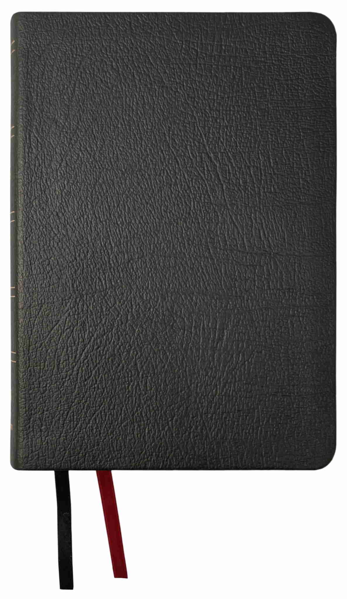 NASB 2020 Large Print Compact Bible