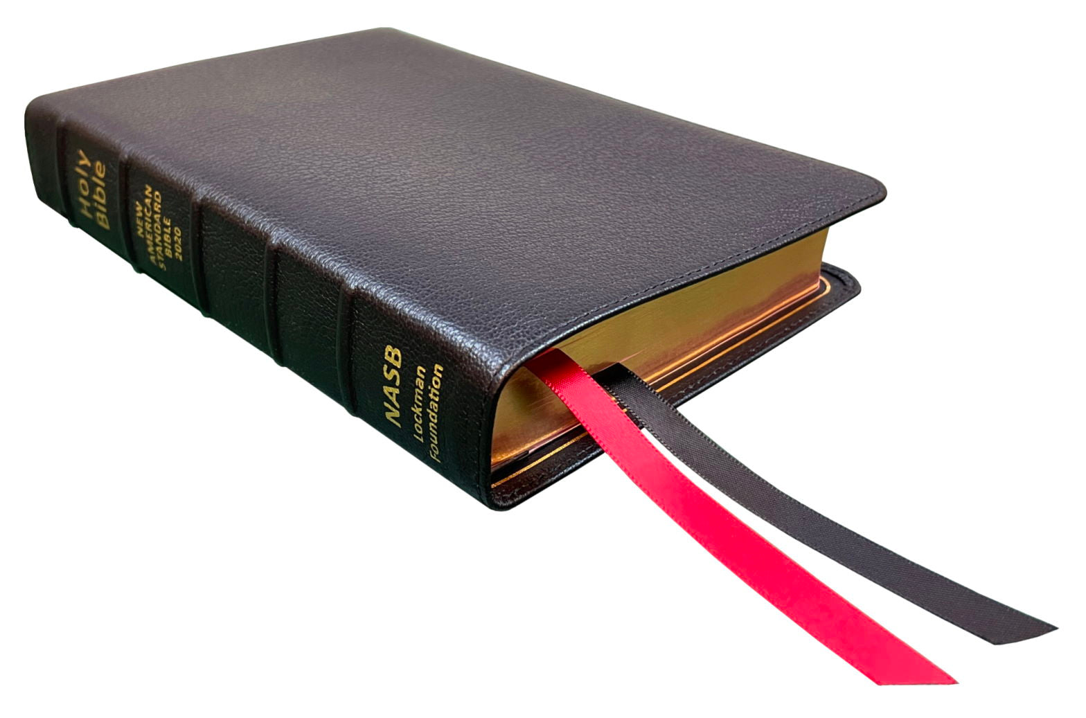 NASB 2020 Prime Large Print Compact Bible, black premium goatskin leather, angled side view with ribbon markers