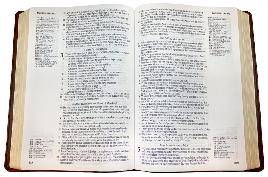 NASB 2020 Side-Column Reference Bible (Damaged)