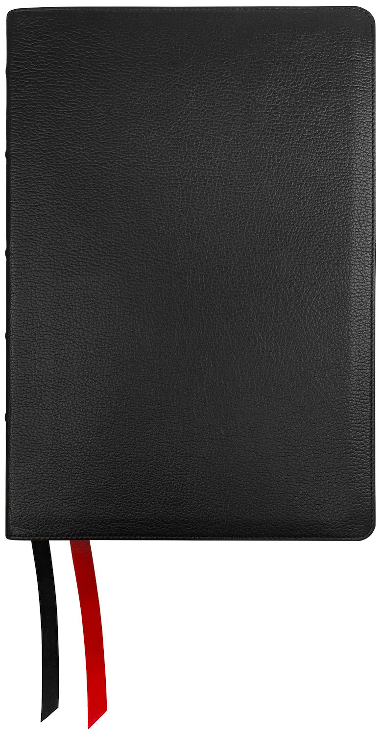 NASB 1995 Prime Side Column Reference Bible