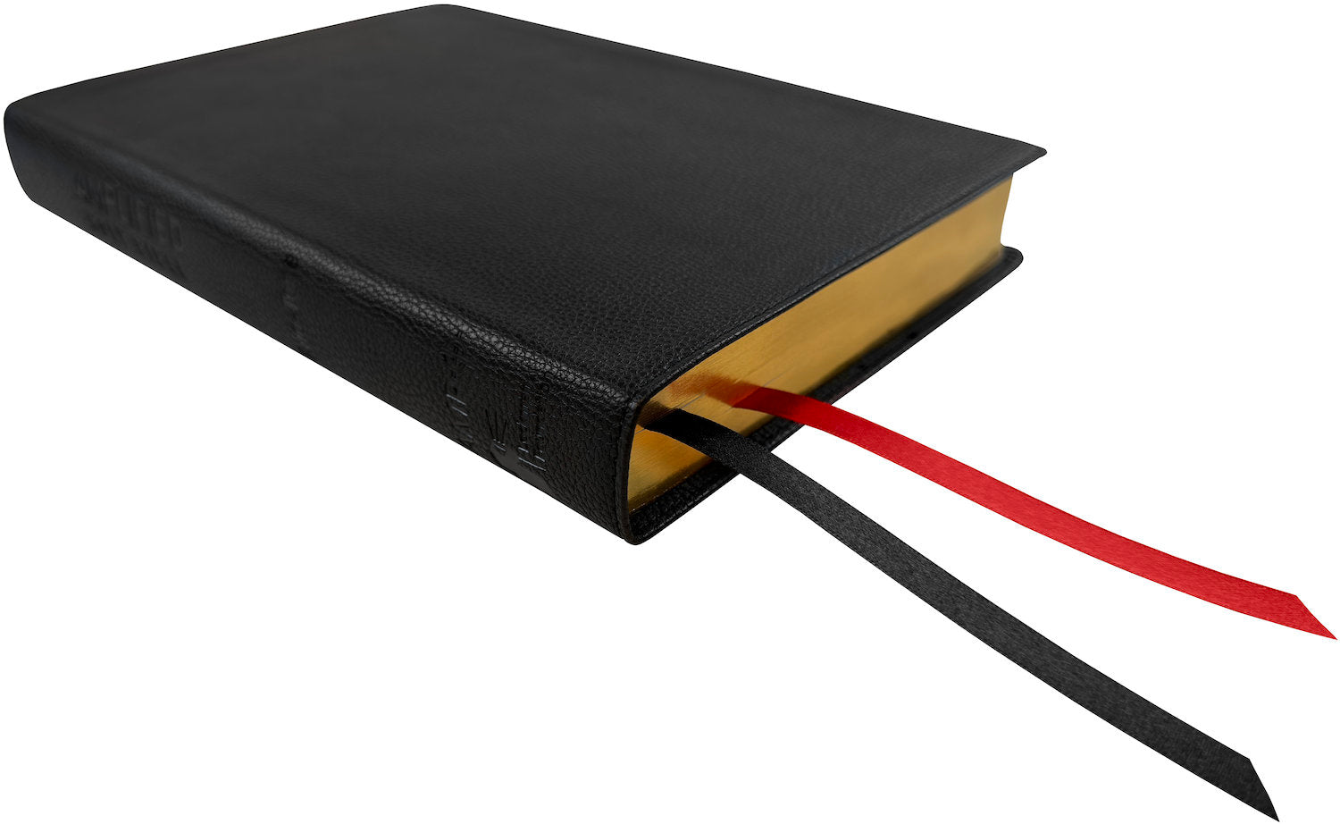Amplified Two-Tone Bible, black leathertex, angled side view with ribbon markers