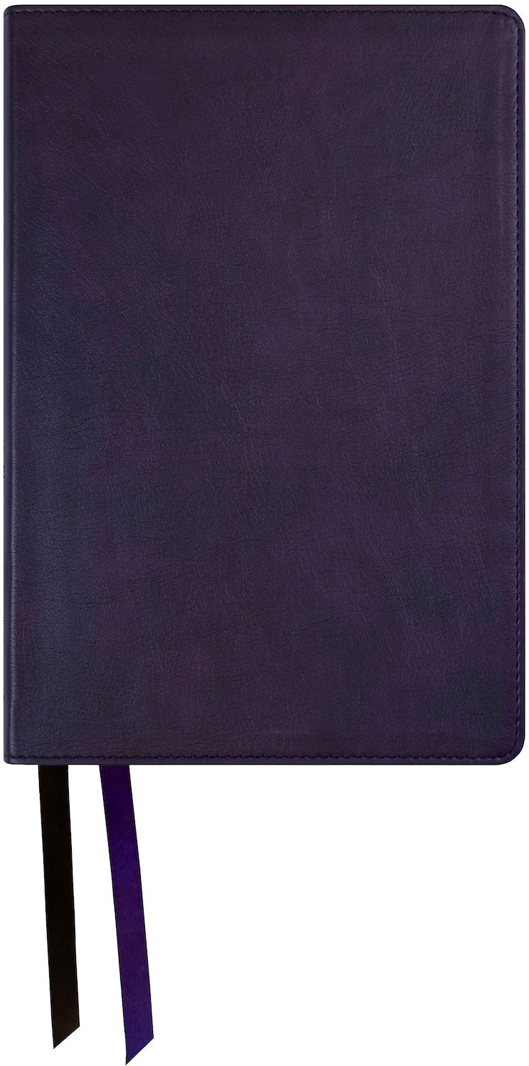 Amplified Two-Tone Bible, purple leathertex cover with ribbon markers