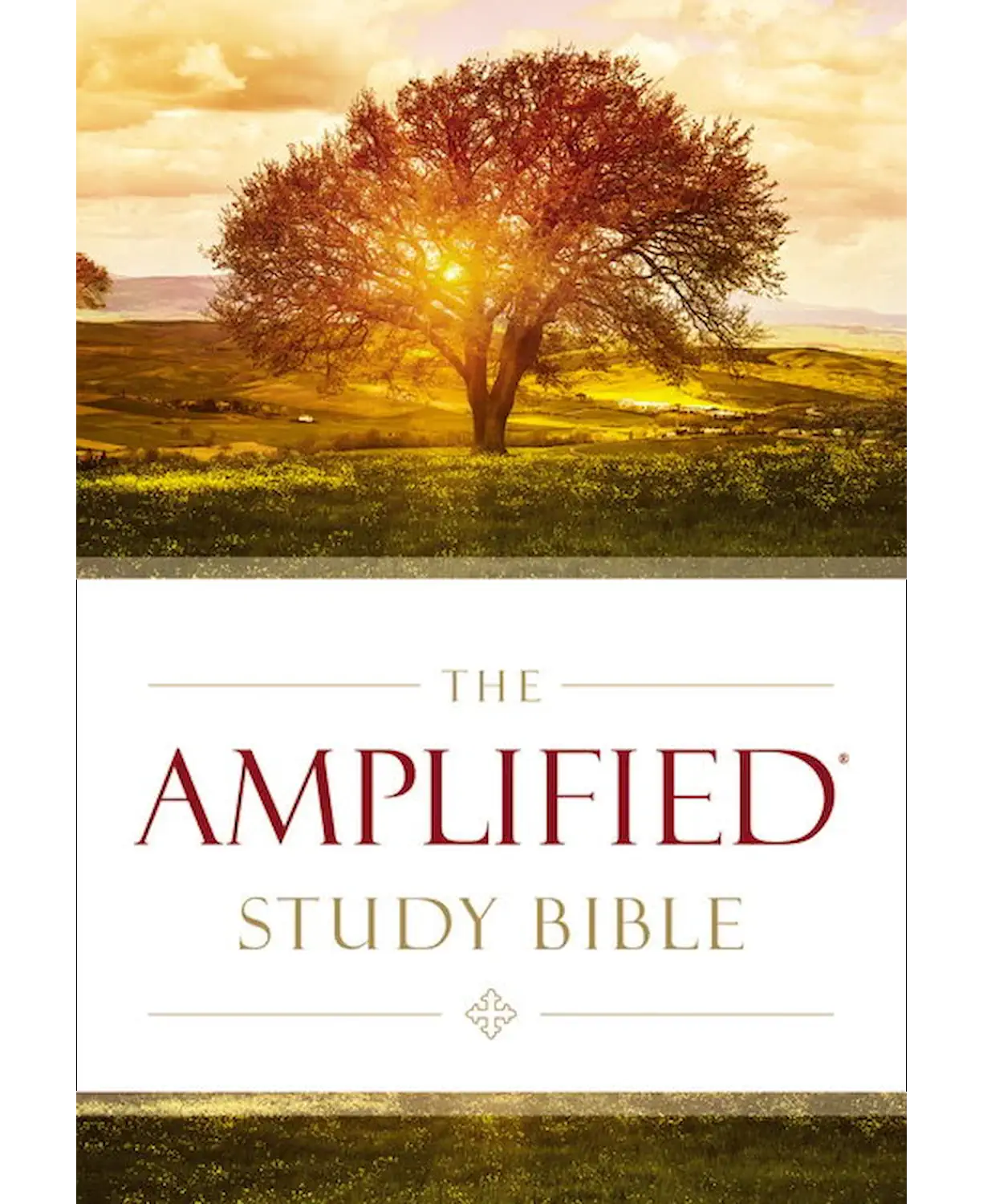 Amplified Study Bible