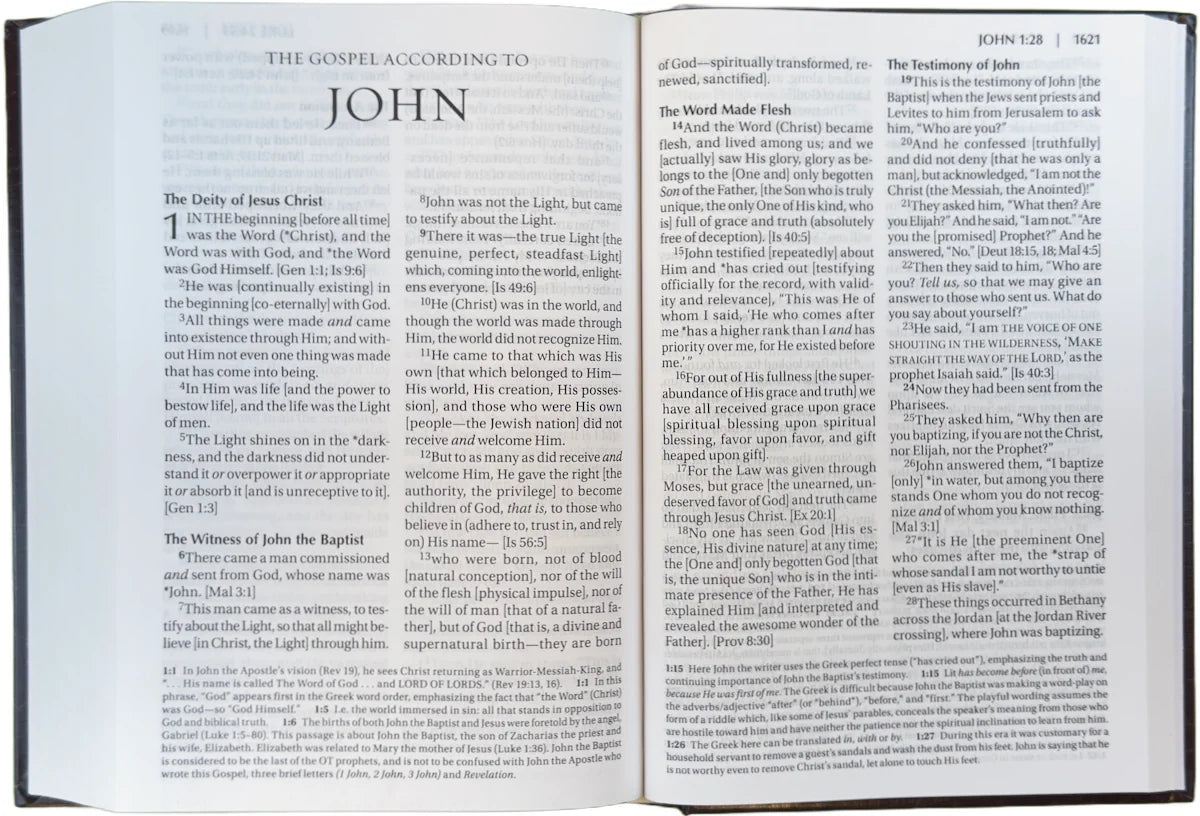 Amplified Large Print Holy Bible