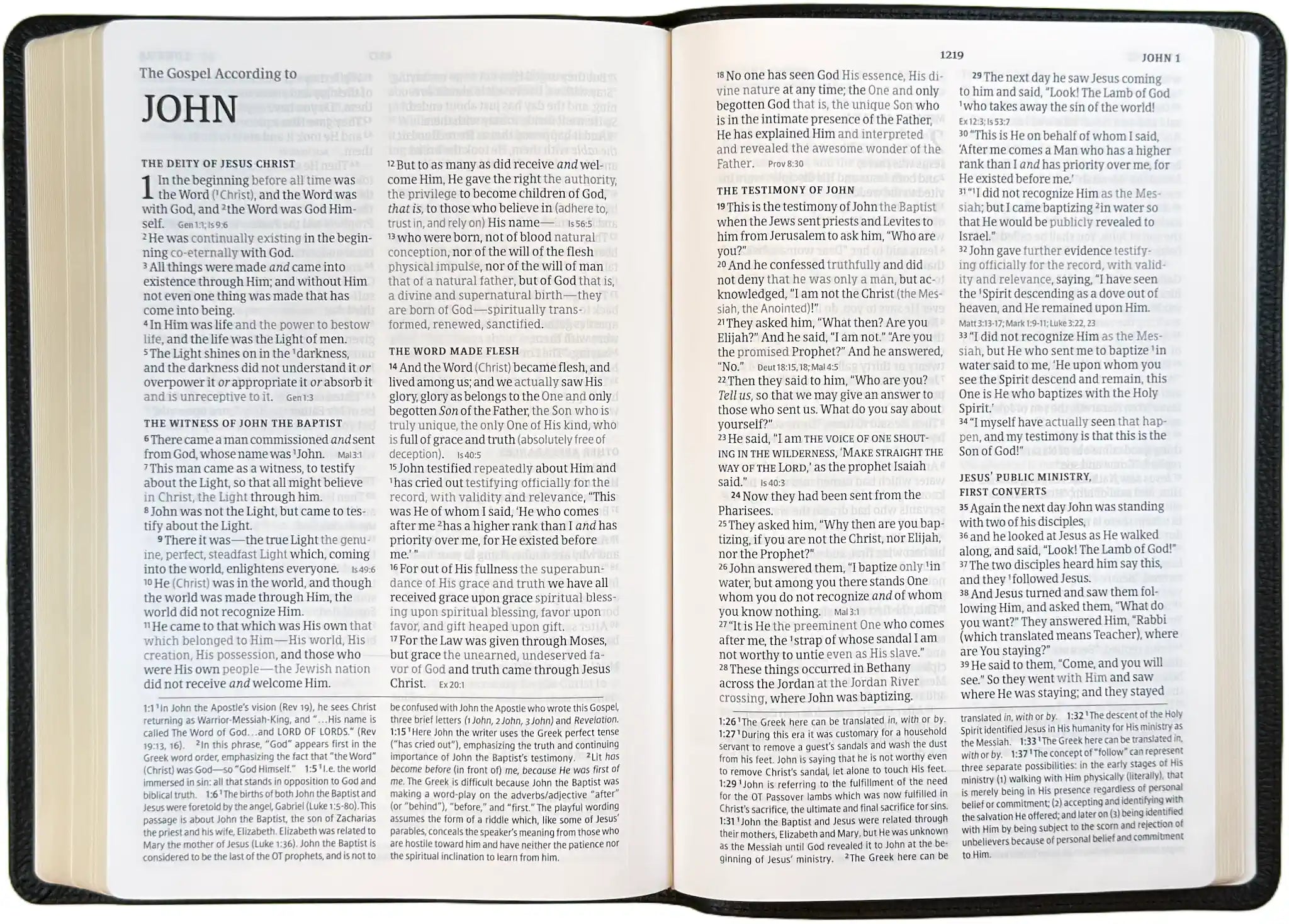 Amplified Two-Tone Bible, open interior pages