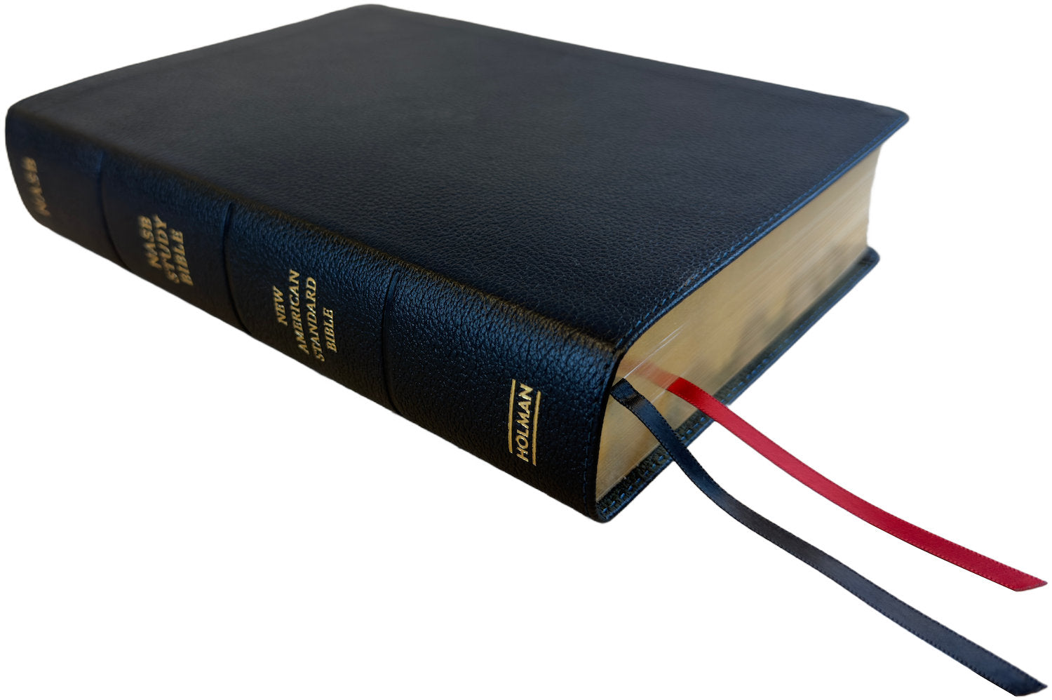 NASB 2020 Study Bible