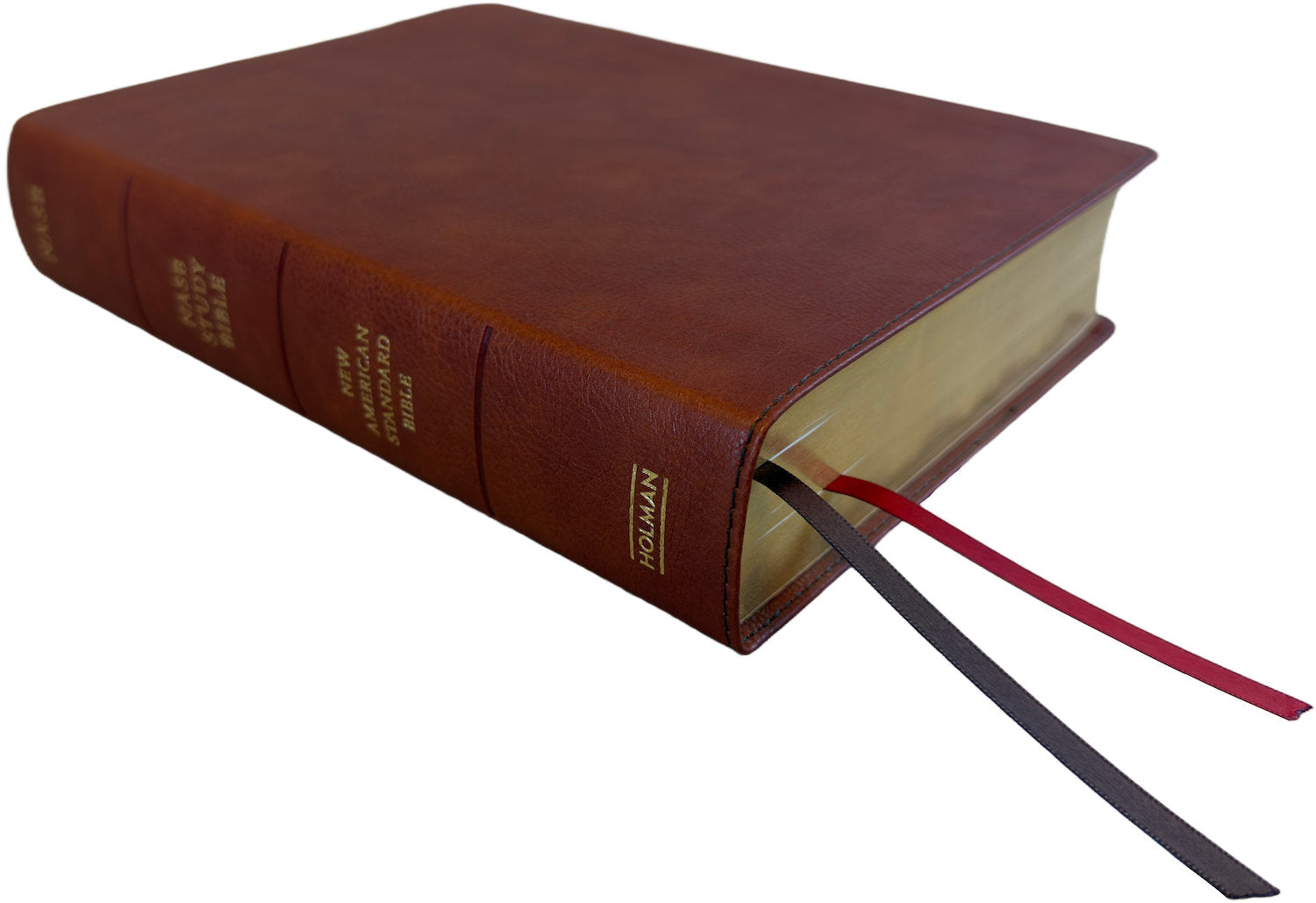 NASB 2020 Study Bible