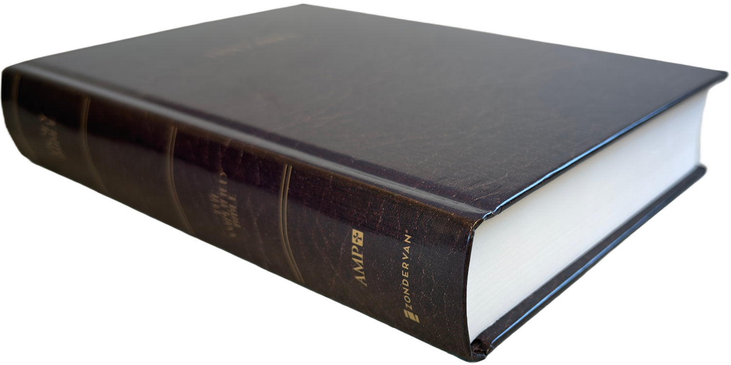 Amplified Large Print Holy Bible