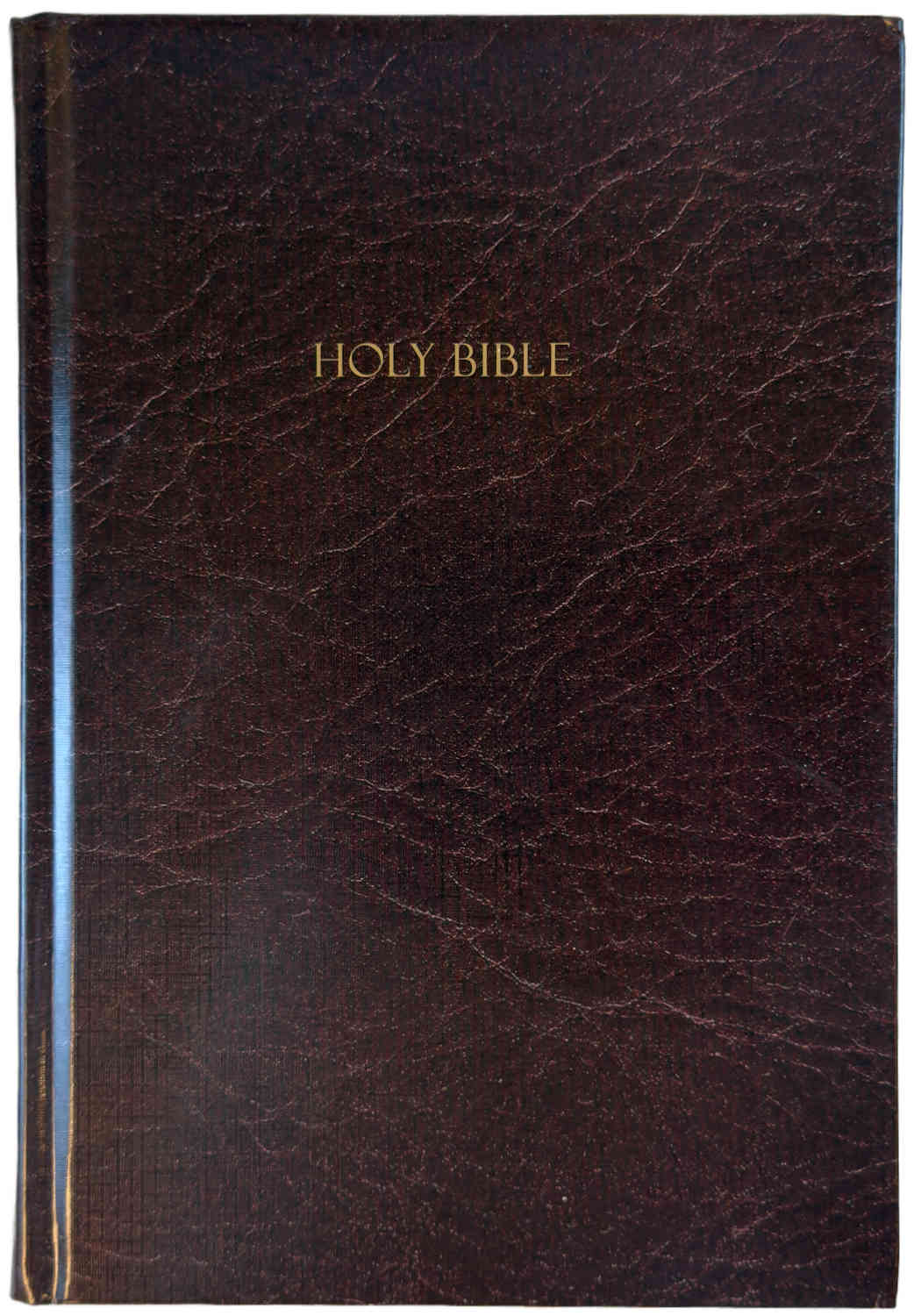 Amplified Large Print Holy Bible