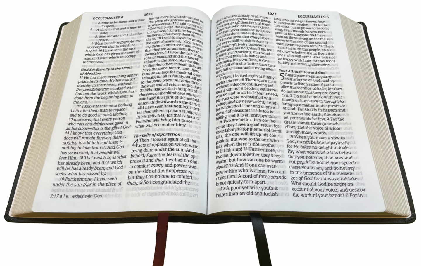 NASB 2020 Giant Print Text Bible