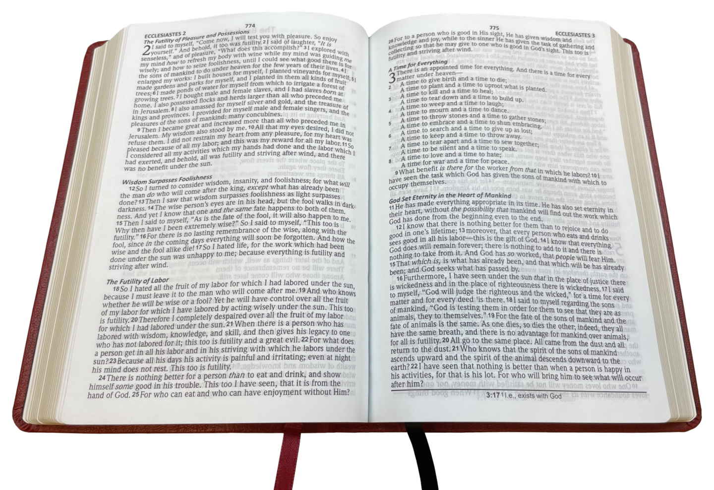 NASB 2020 Large Print Compact Bible