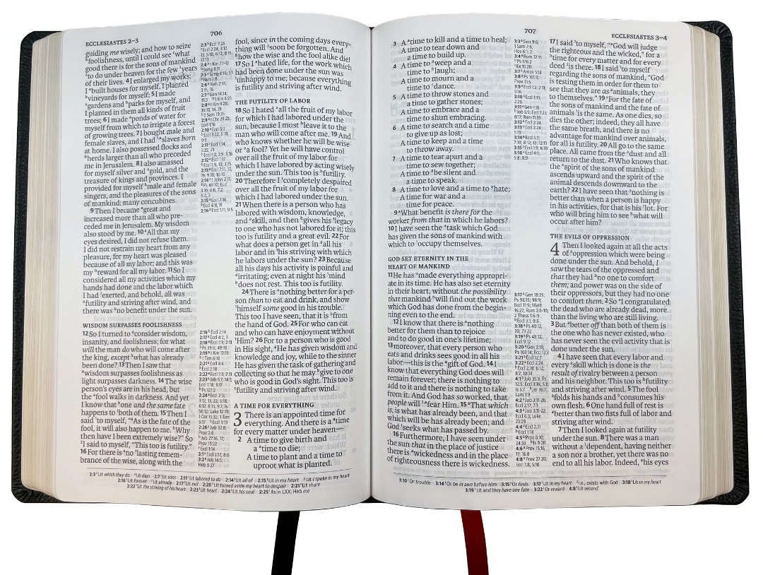 NASB 2020 Large Print Ultrathin Reference Bible