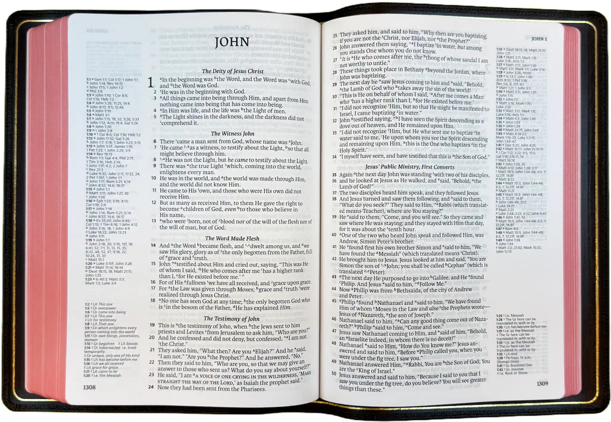 NASB 1995 Prime Side Column Reference Bible, open interior pages