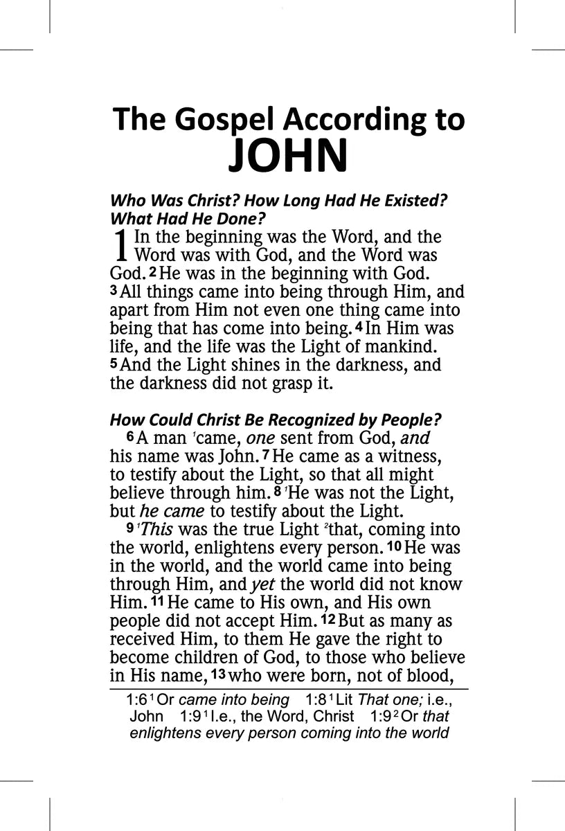 NAS 2020 Plan of Life Gospel of John, colorful paperback cover, interior page sample