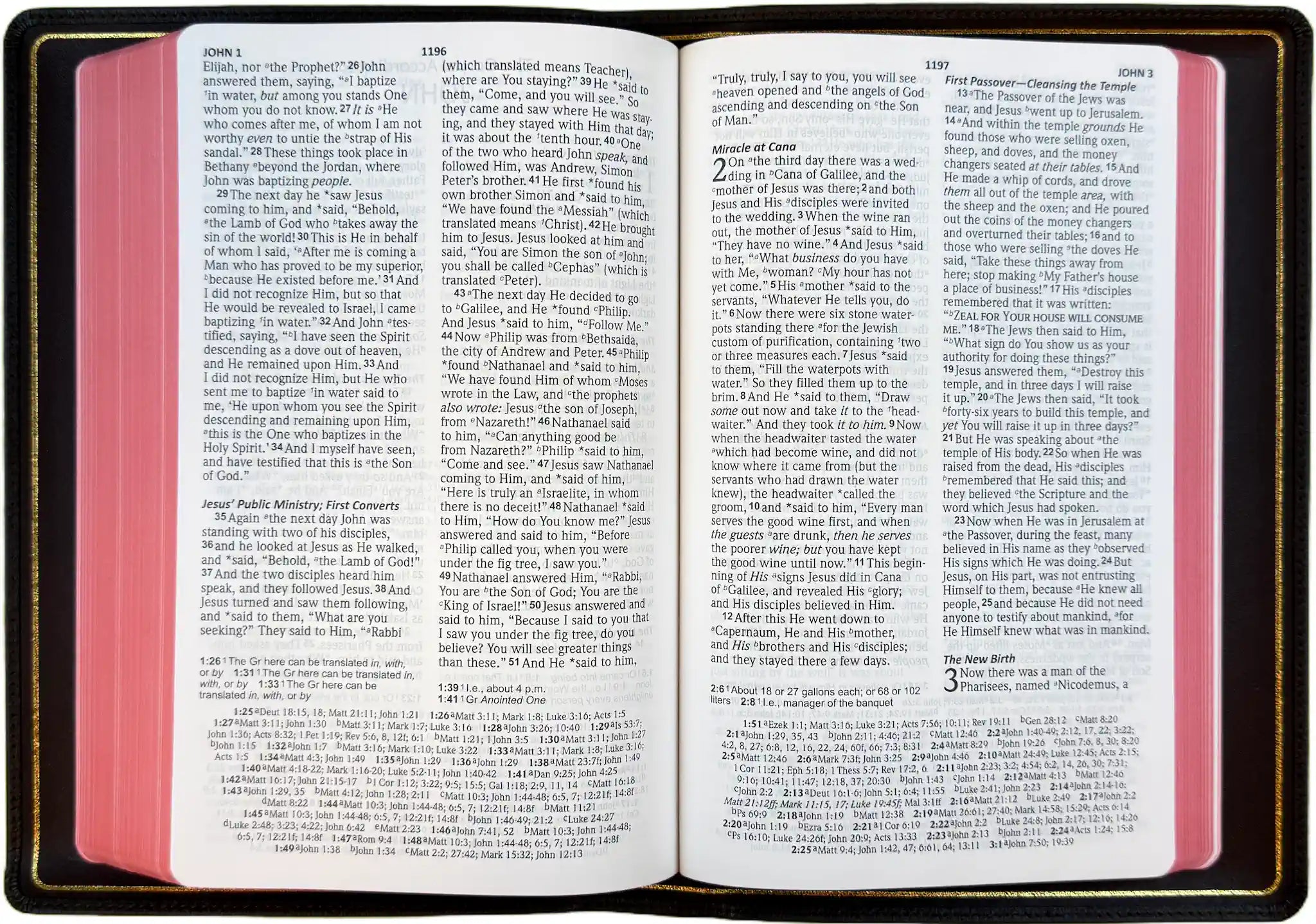 NASB 2020 Prime Reference Bible
